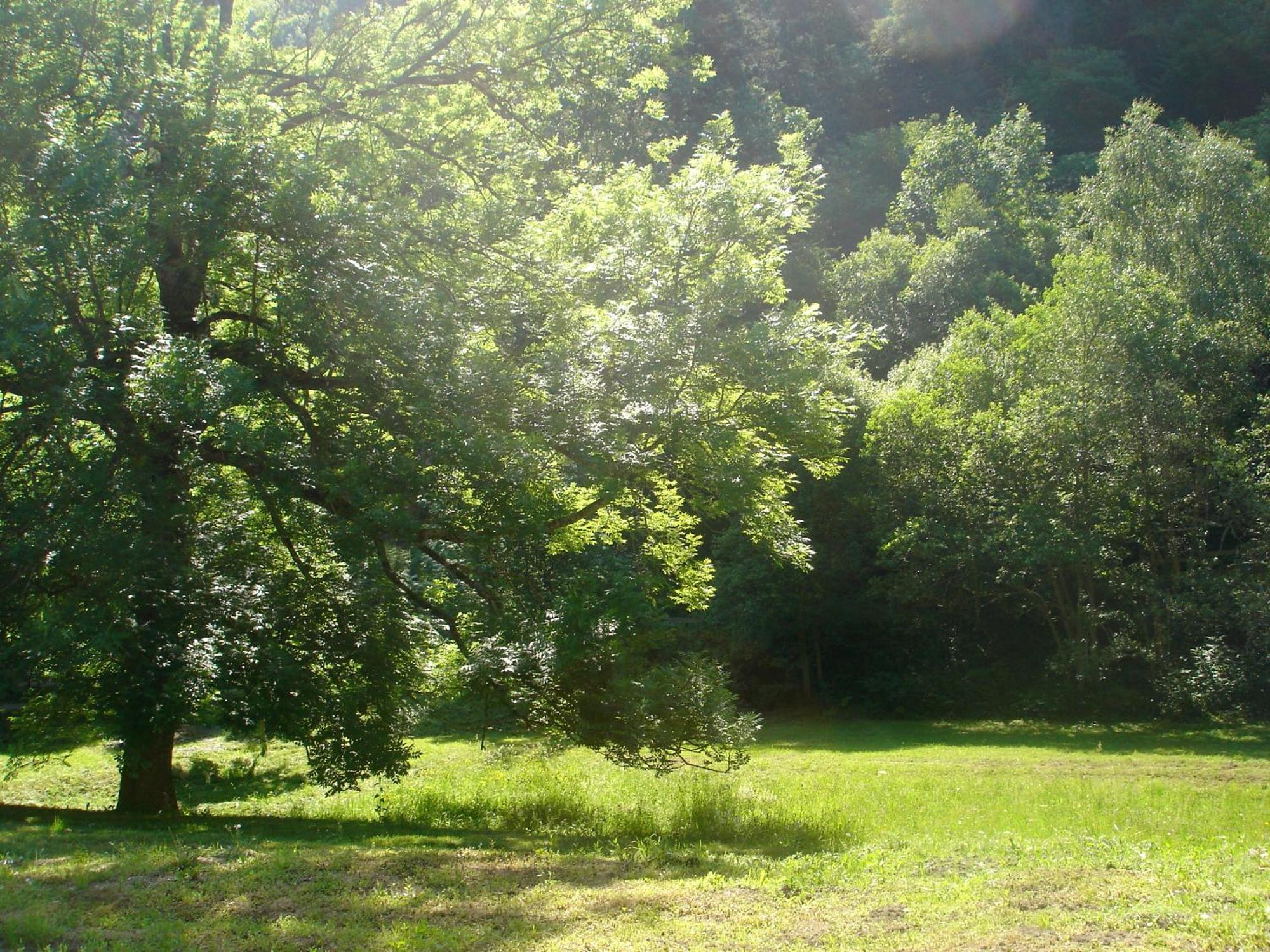 Holiday home Le Clos De La Bergerie By Camilodge *